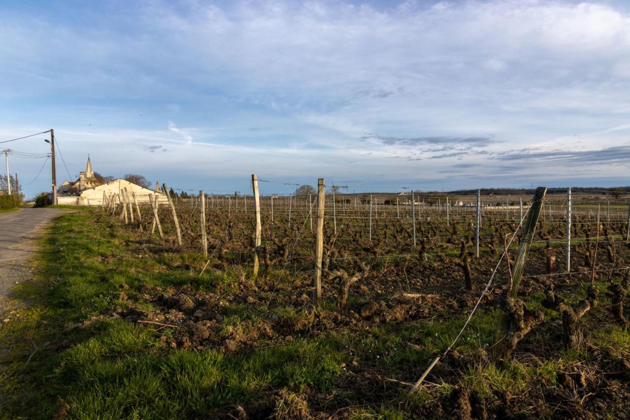 Maison Chaleureuse-Grand Jardin-Proche Saumur Parnay Екстер'єр фото